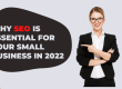 seo for small business